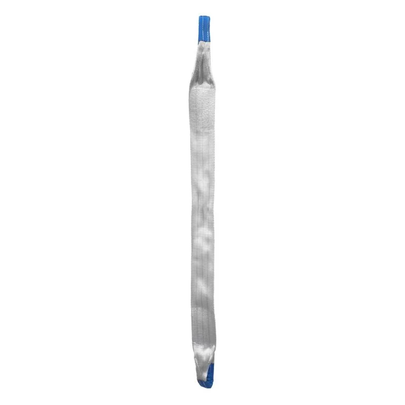 sasseil-28602