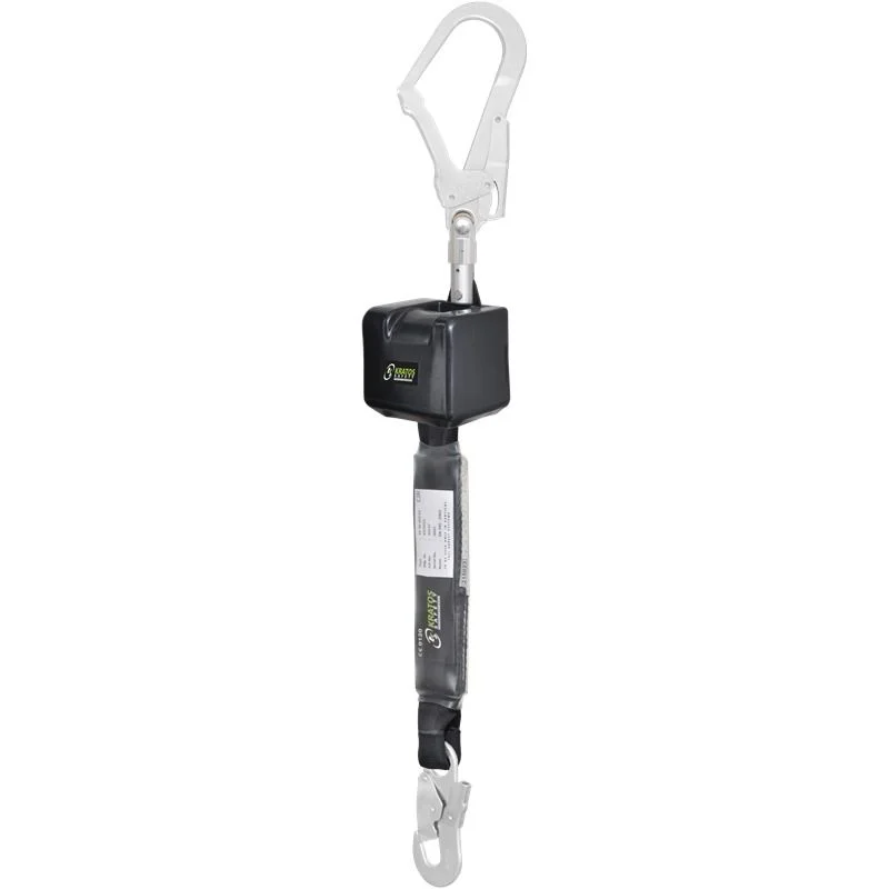 sasseil-30673
