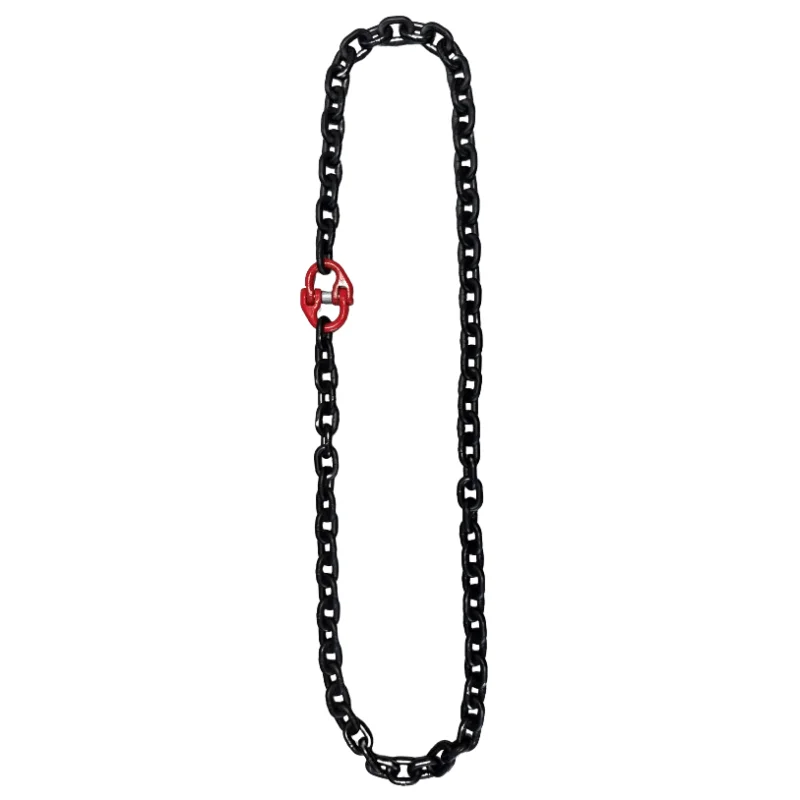 sasseil-33598