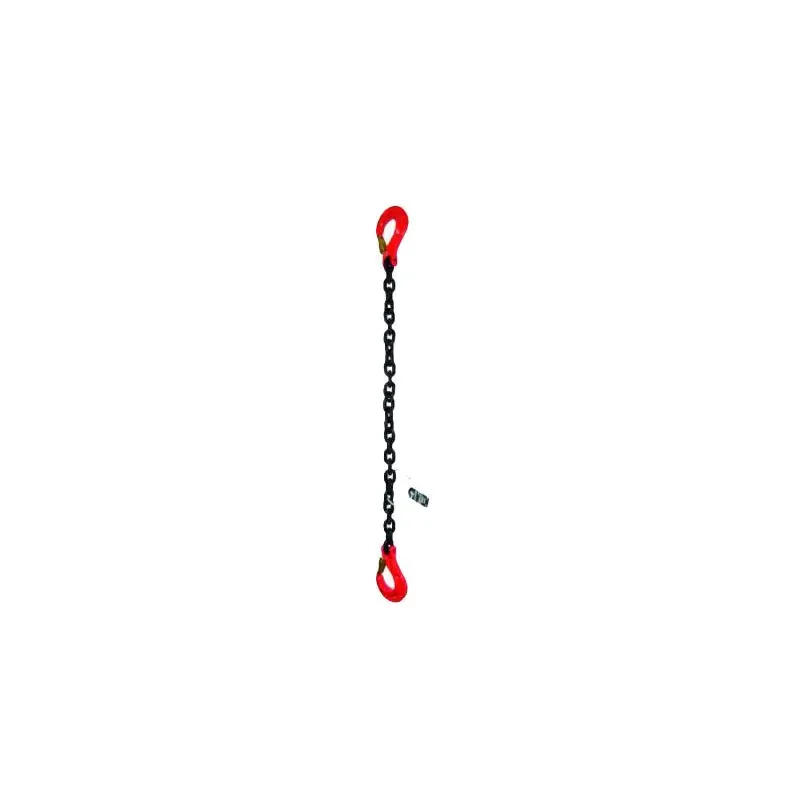 sasseil-33689