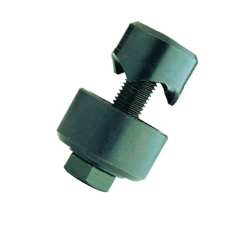 shop.doenges-rs1-201685