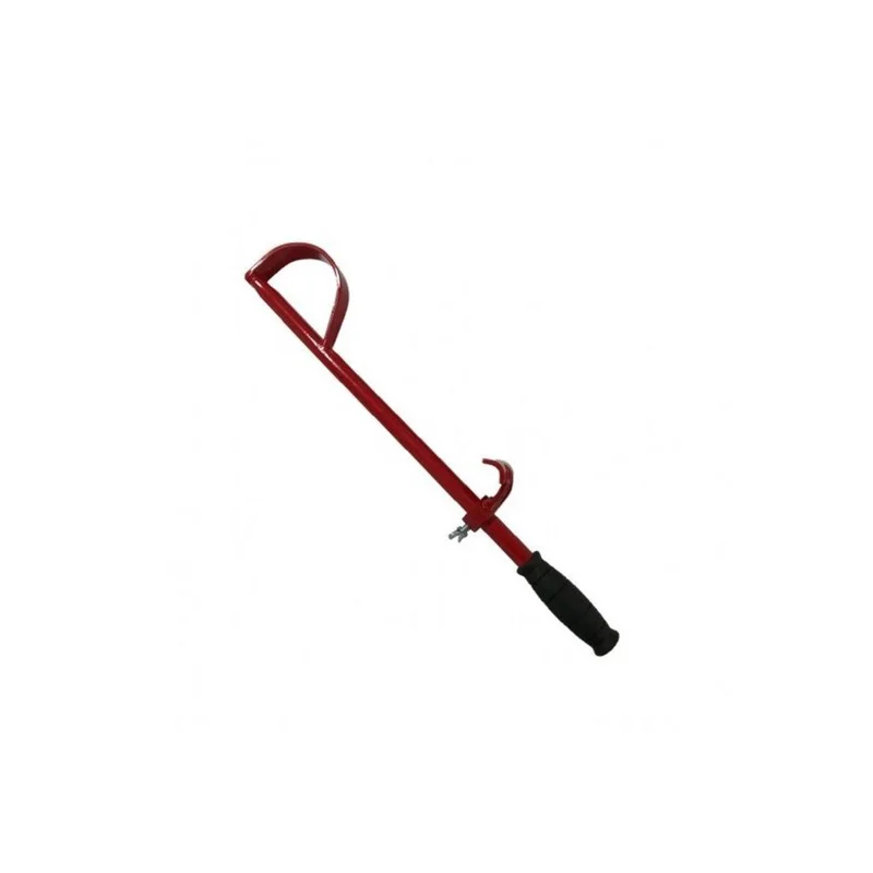 shop.doenges-rs1-215399