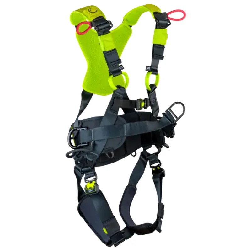 shop.doenges-rs1-216993