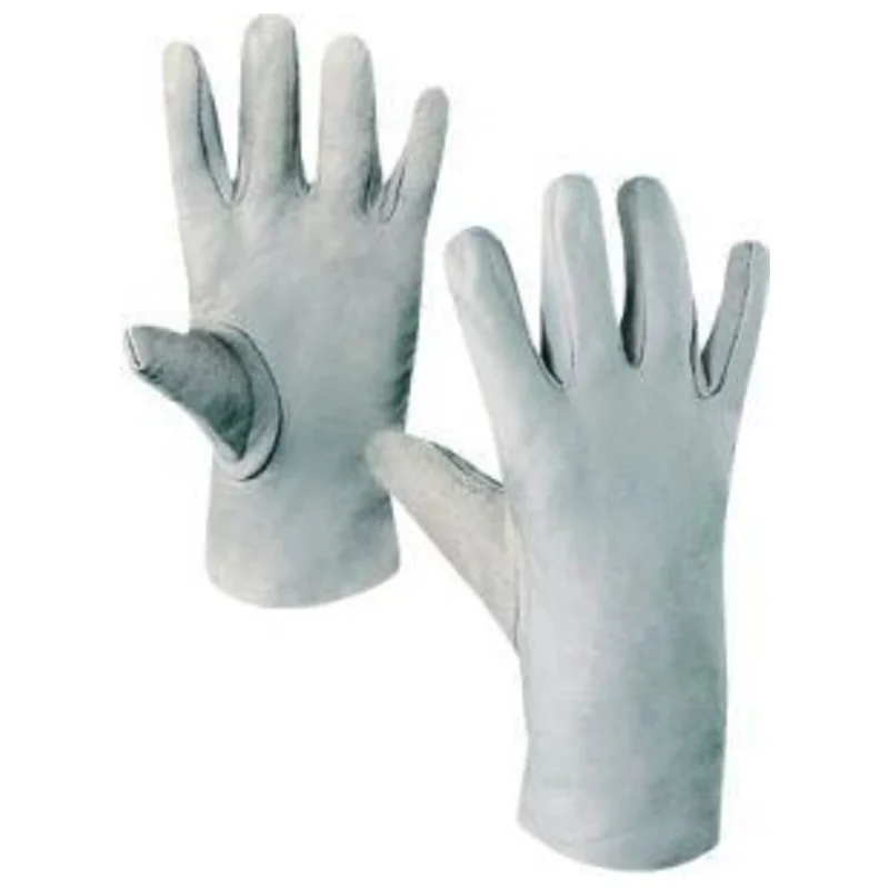 shop.doenges-rs1-240865