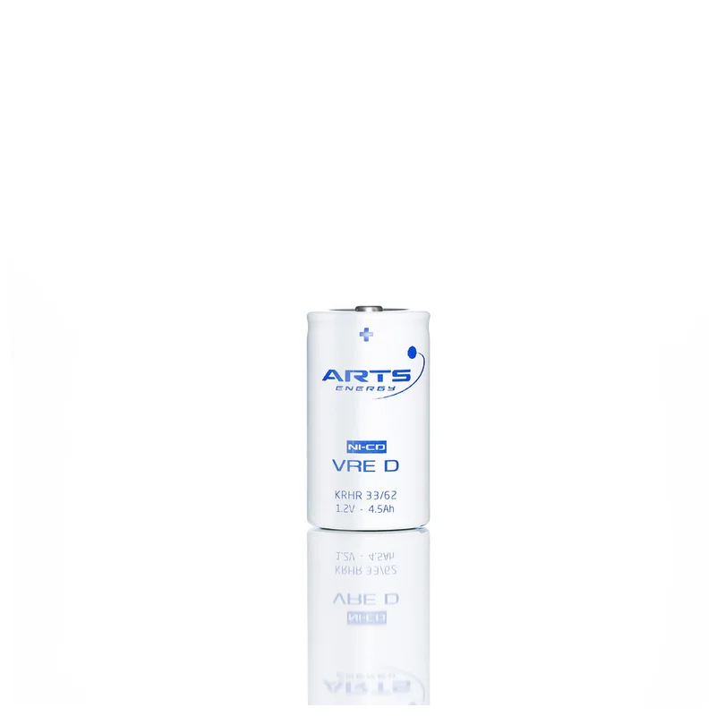 shop.doenges-rs1-264980