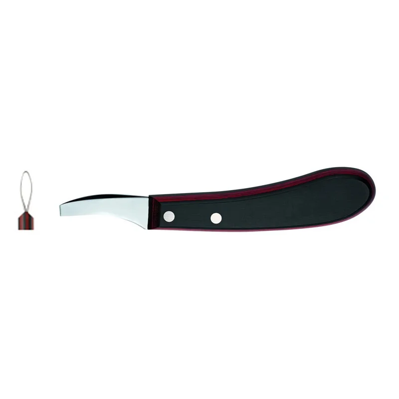 shop.doenges-rs1-270683