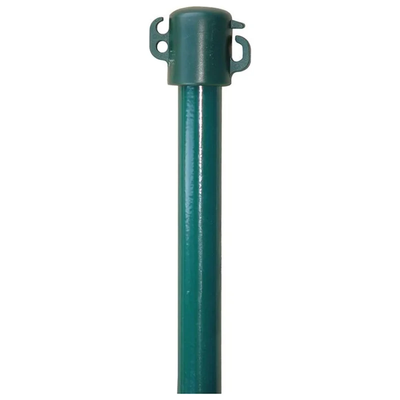 shop.doenges-rs1-272730