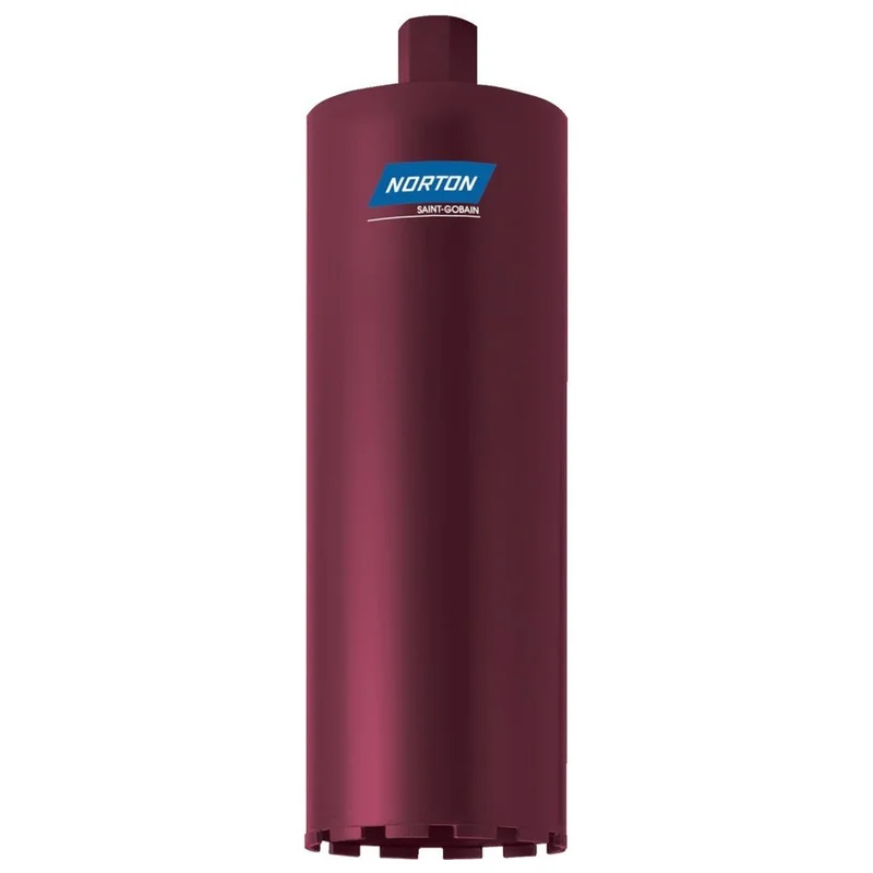 shop.doenges-rs1-276799