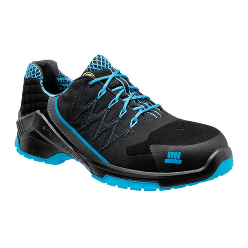 shop.doenges-rs1-278153
