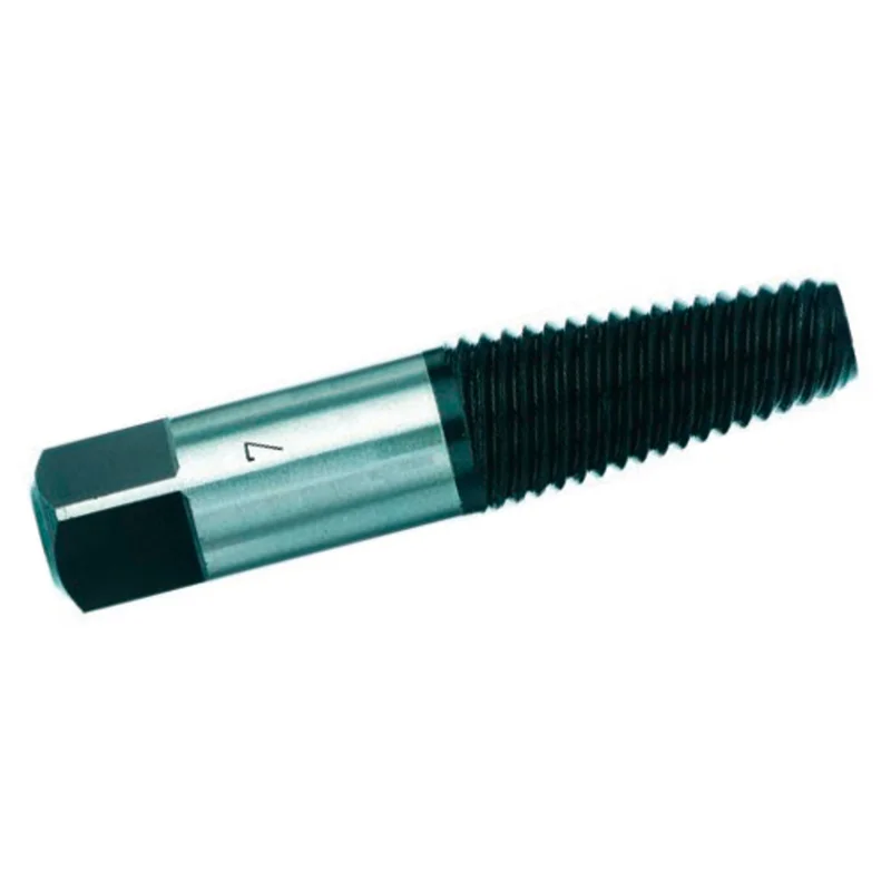 shop.doenges-rs1-279474