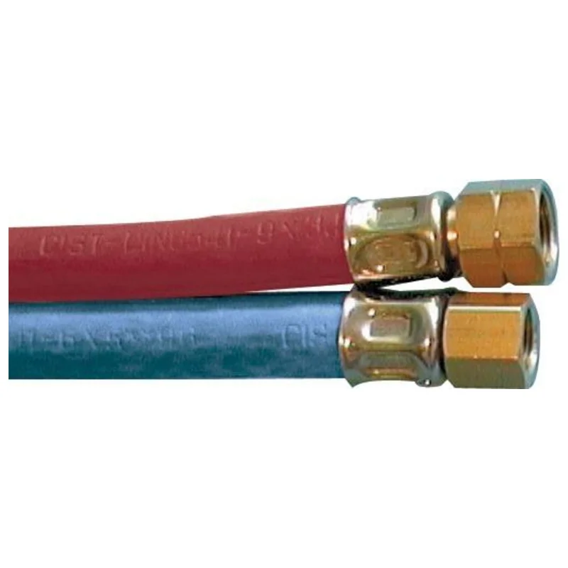 shop.doenges-rs1-279690