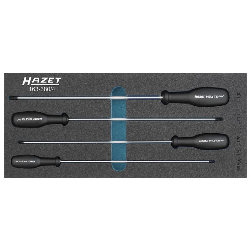 shop.doenges-rs1-283432