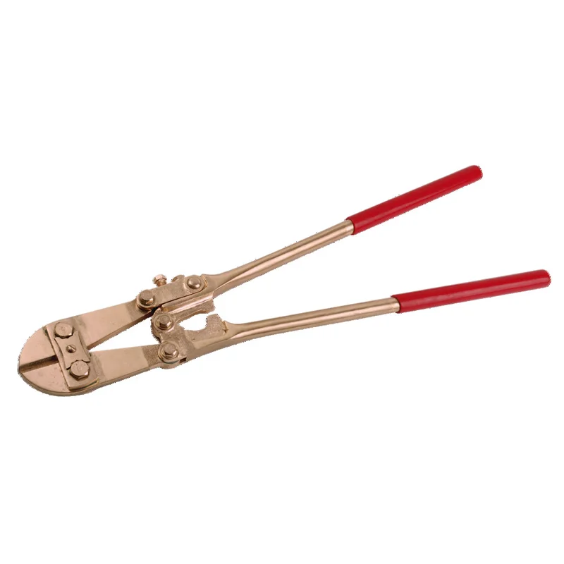 shop.doenges-rs1-287784