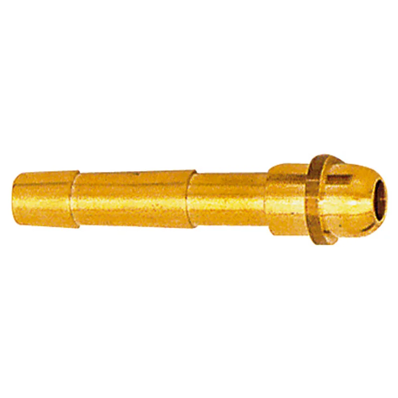 shop.doenges-rs1-287866