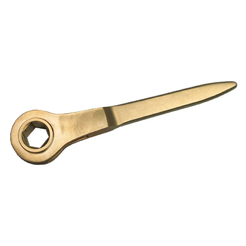shop.doenges-rs1-289098