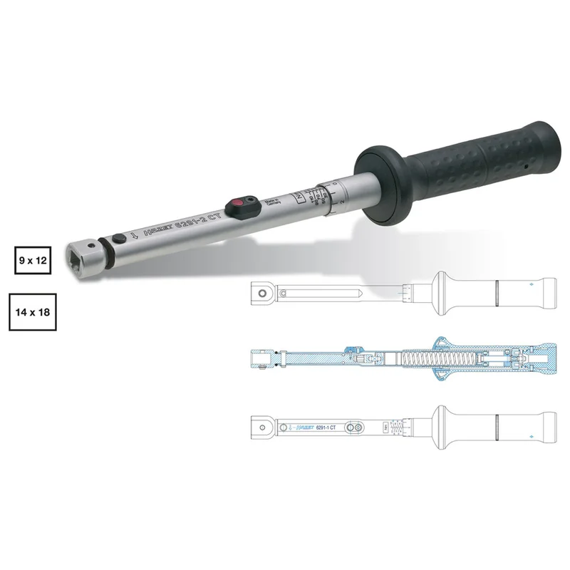shop.doenges-rs1-290099
