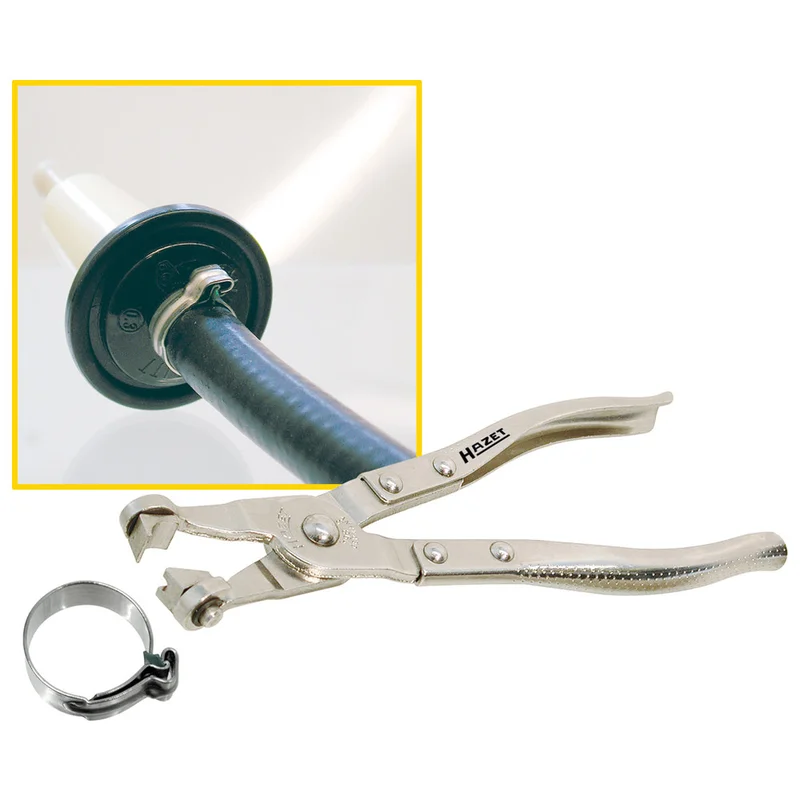 shop.doenges-rs1-290149