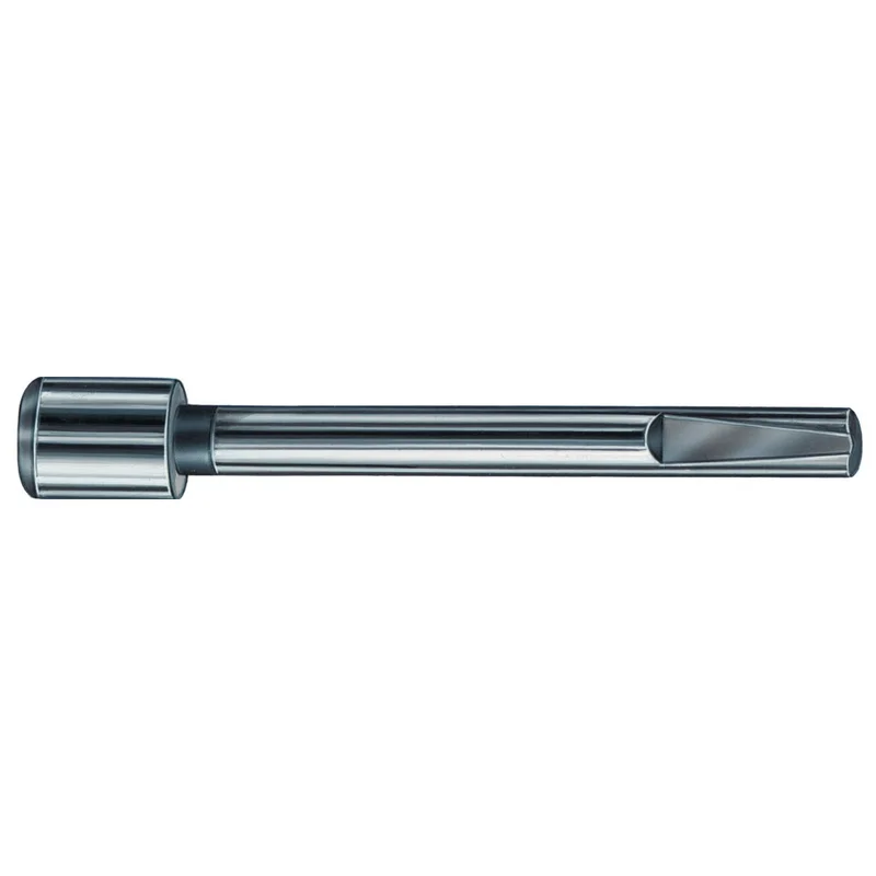 shop.doenges-rs1-290380