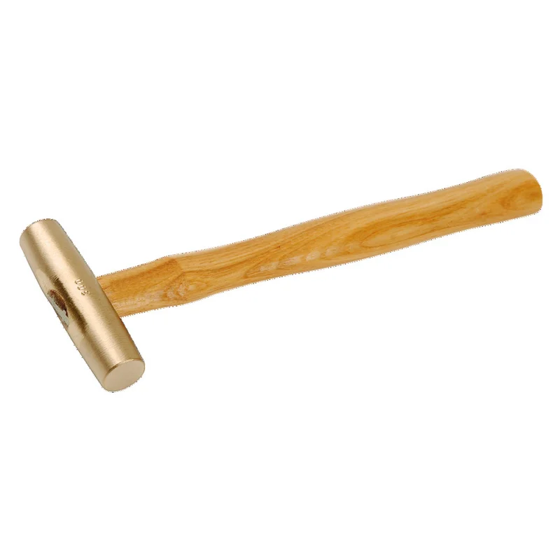 shop.doenges-rs1-290463