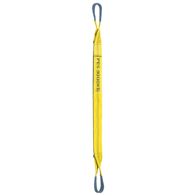 shop.doenges-rs1-290674