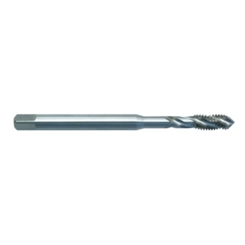shop.doenges-rs1-291424