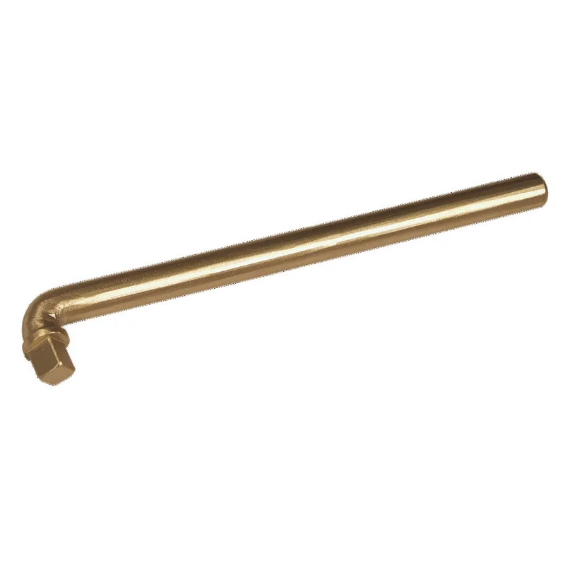 shop.doenges-rs1-293207