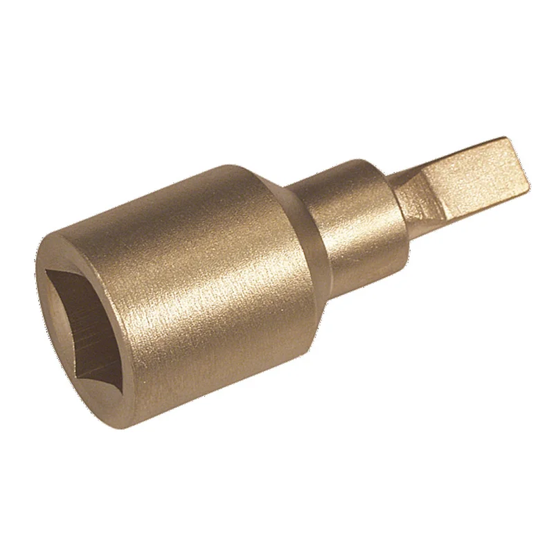 shop.doenges-rs1-293273