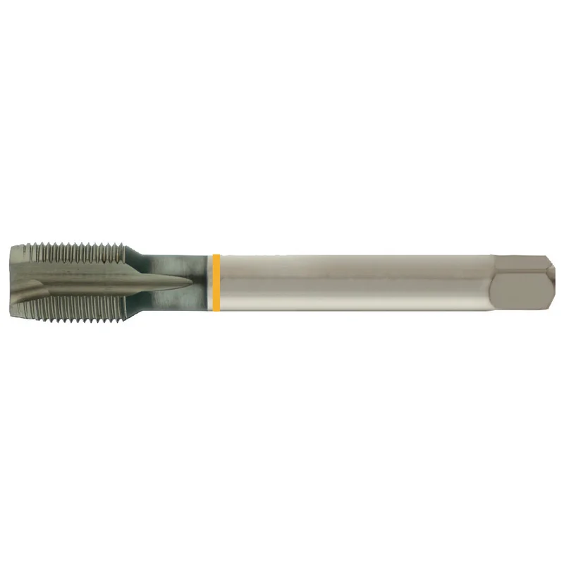 shop.doenges-rs1-295986