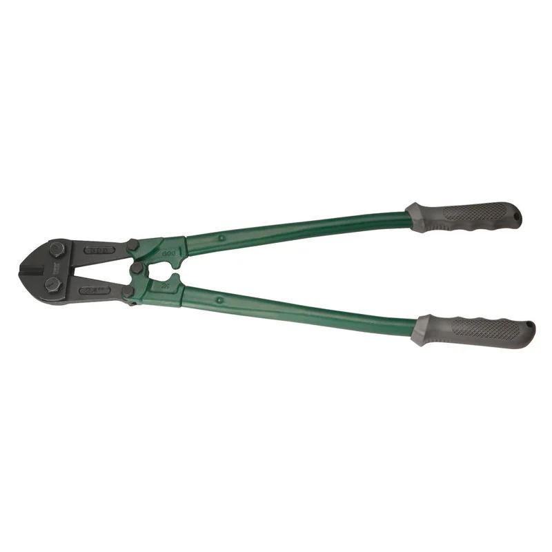 shop.doenges-rs1-349275