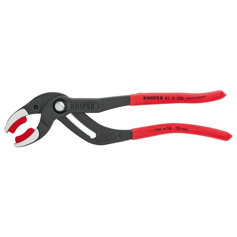 shop.doenges-rs1-356561