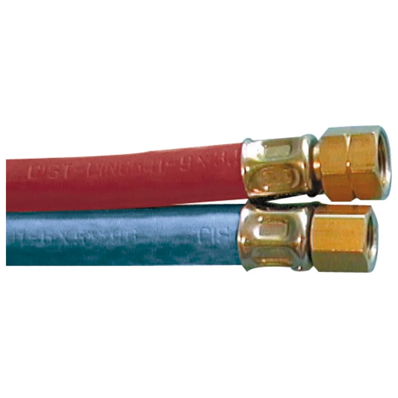 shop.doenges-rs1-356928