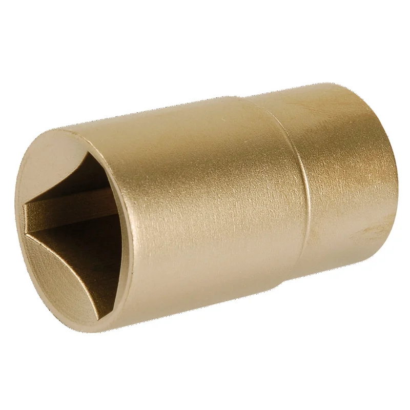 shop.doenges-rs1-385762