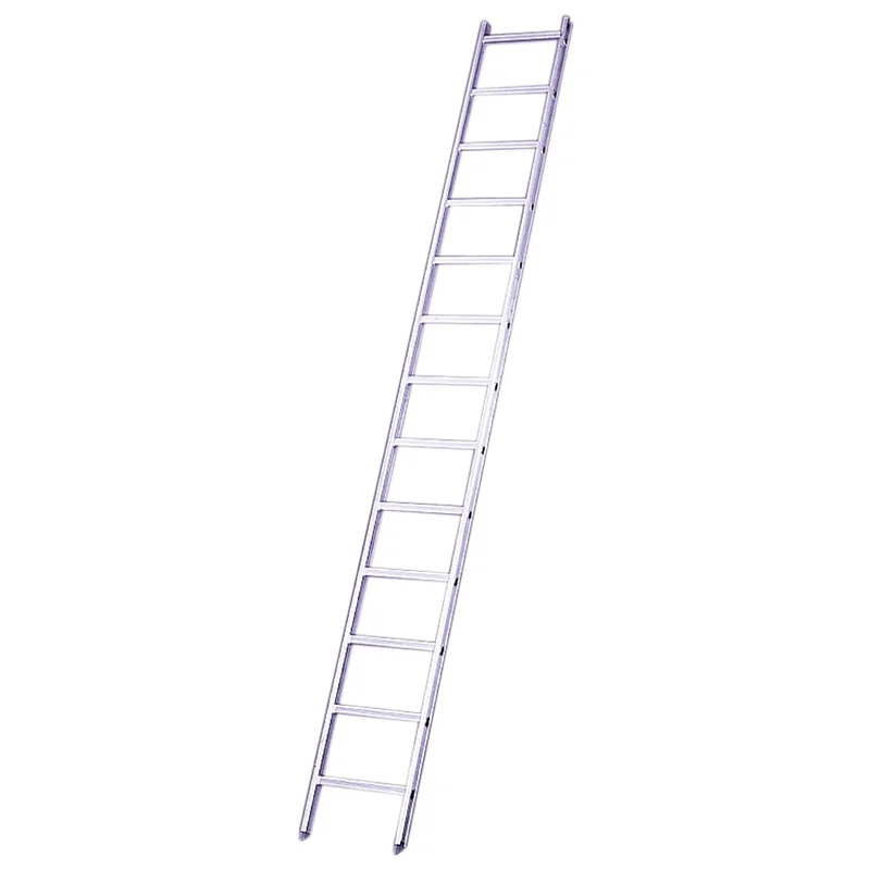 shop.doenges-rs1-388508