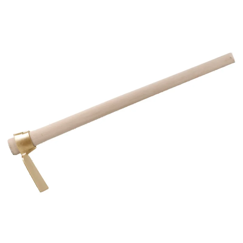 shop.doenges-rs1-393865