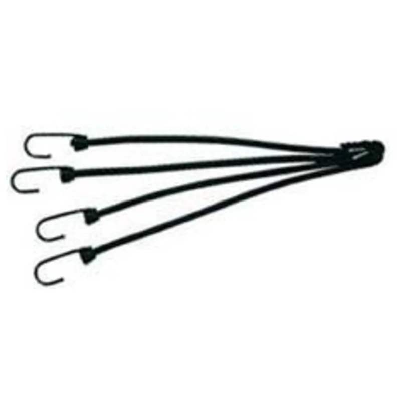 shop.doenges-rs1-395512