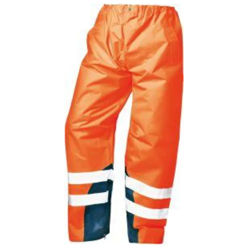 shop.doenges-rs1-401975
