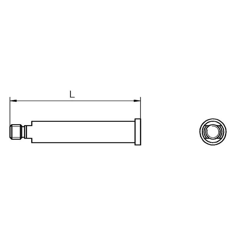 shop.doenges-rs1-407321