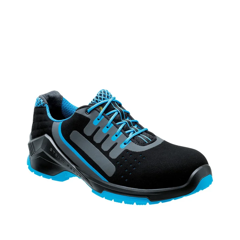 shop.doenges-rs1-410374