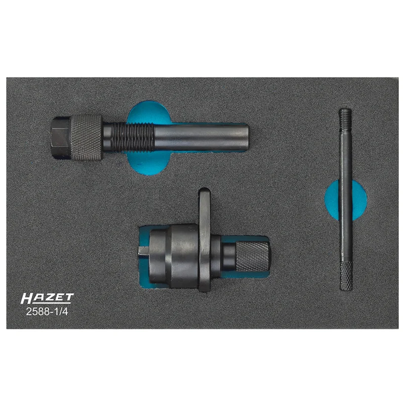 shop.doenges-rs1-413902