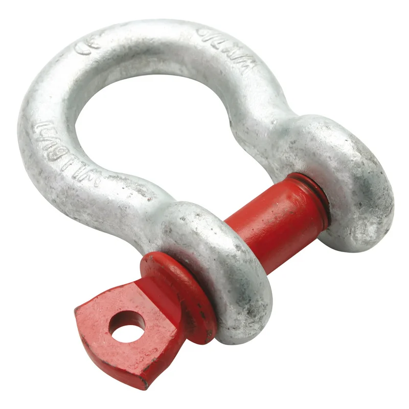 shop.doenges-rs1-413986