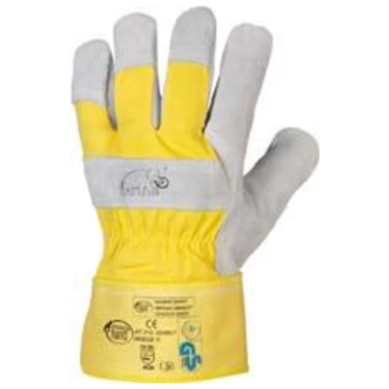 shop.doenges-rs1-415387