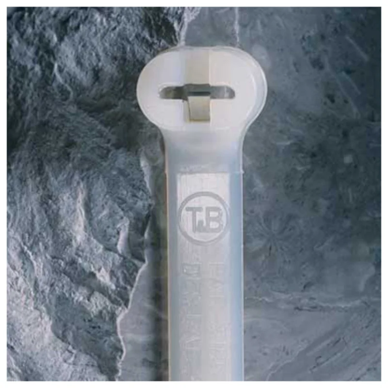 shop.doenges-rs2-153169