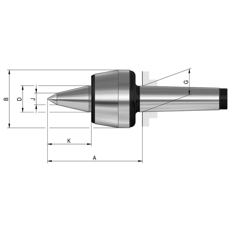 shop.doenges-rs2-161478
