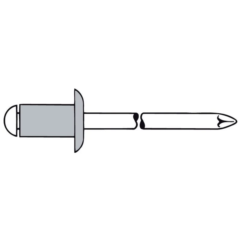 shop.doenges-rs2-216909