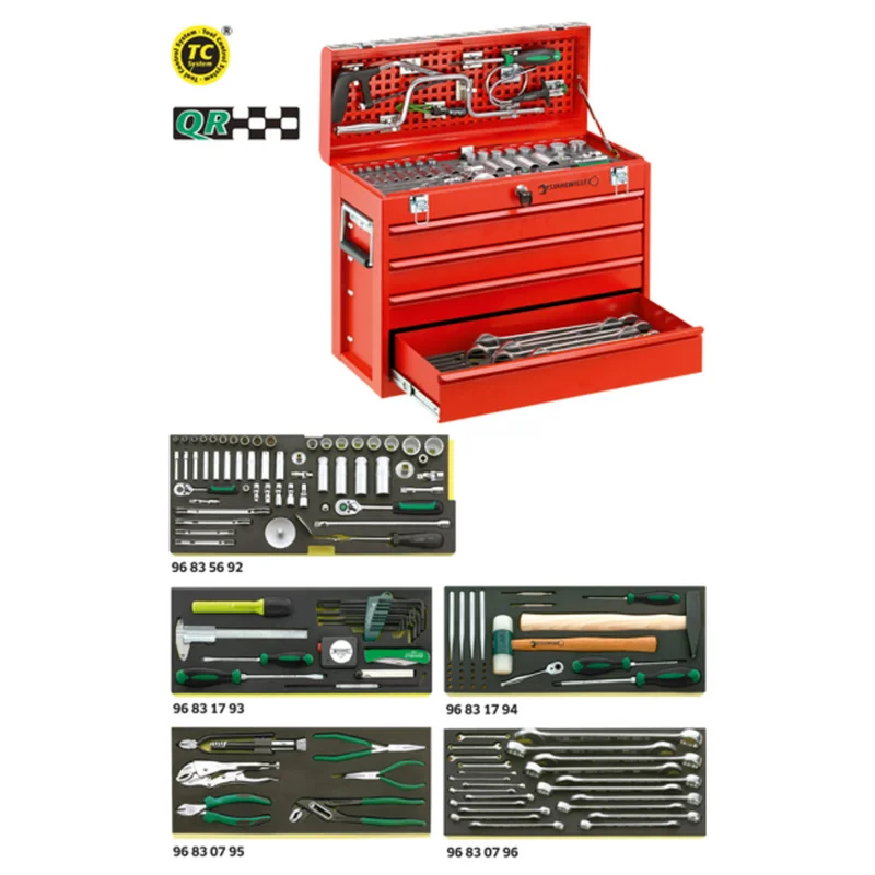 shop.doenges-rs2-243836