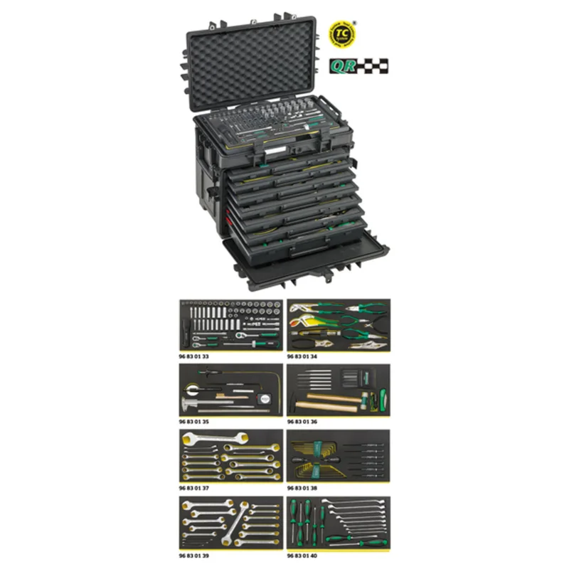 shop.doenges-rs2-244084