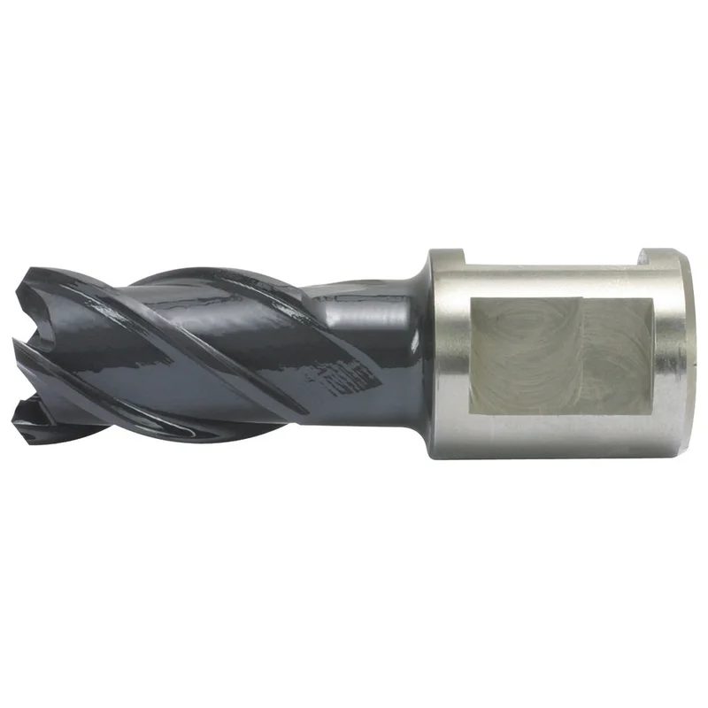 shop.doenges-rs2-258245