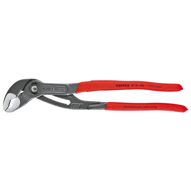 shop.doenges-rs2-263676