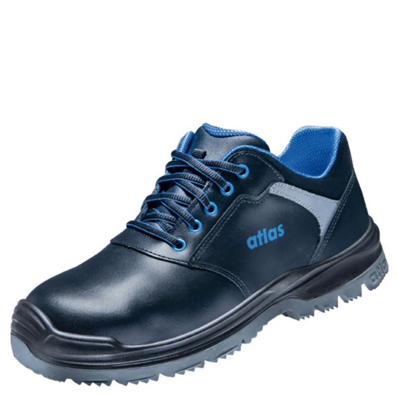 shop.doenges-rs2-265984