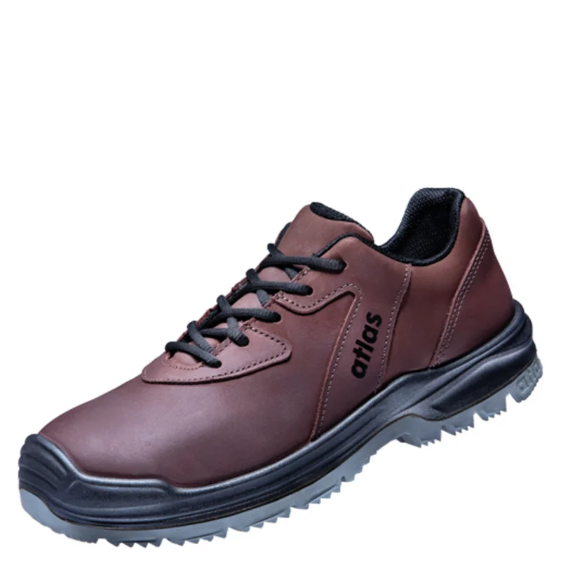 shop.doenges-rs2-267744